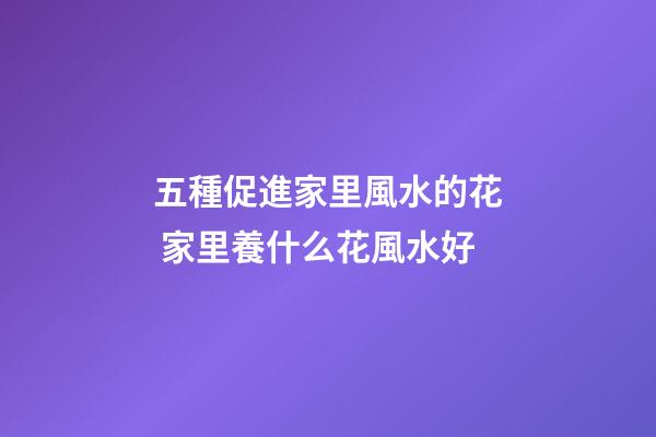 五種促進家里風水的花 家里養什么花風水好